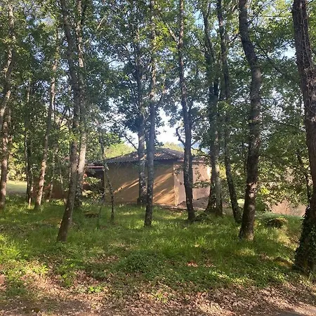 Charming House In Espinet Domain