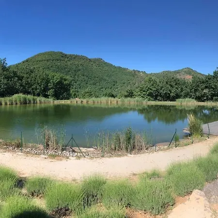 Charming House In Espinet Domain *