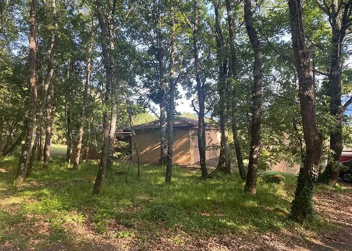 Charming House In Espinet Domain